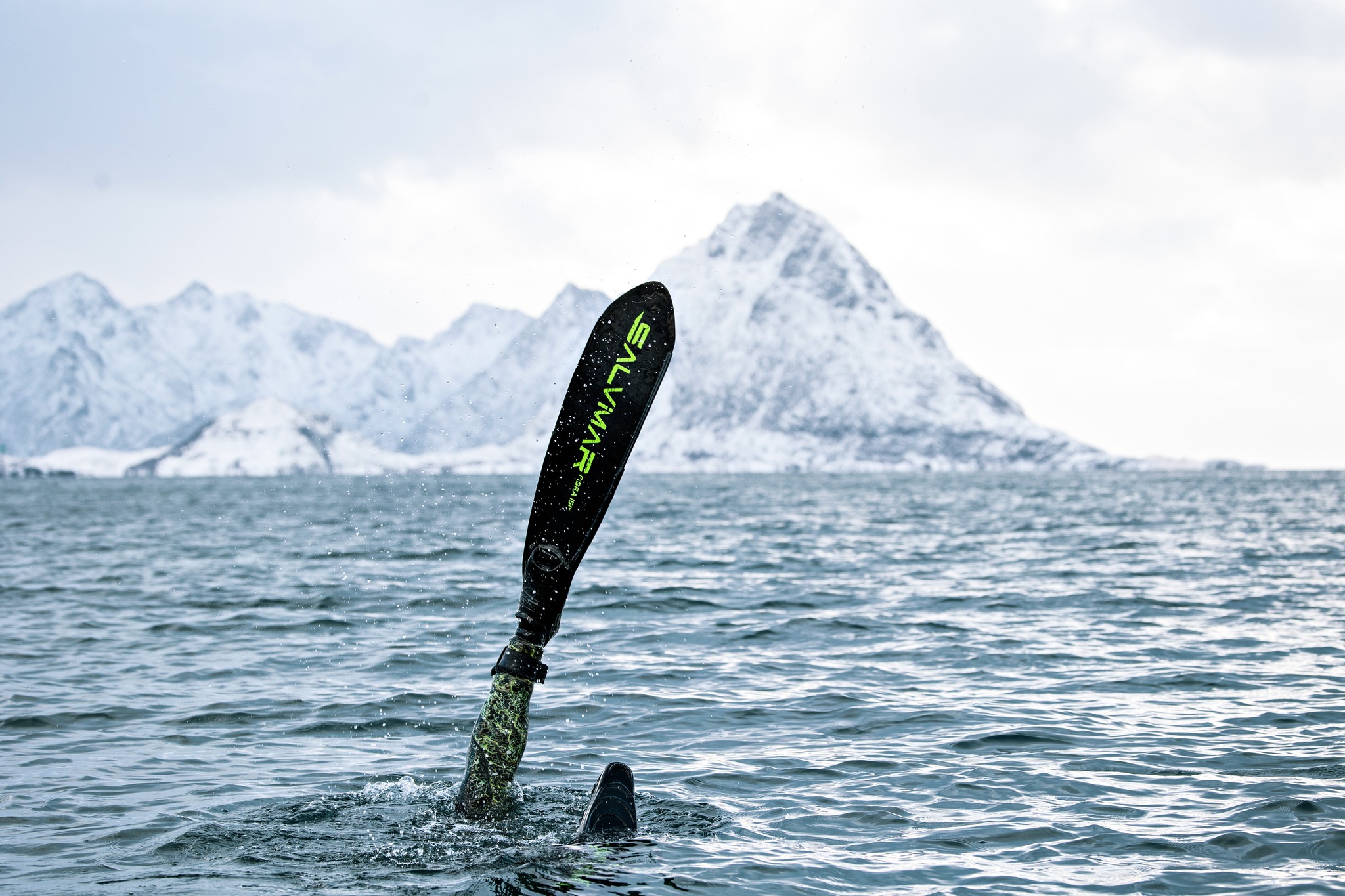 Section One Background